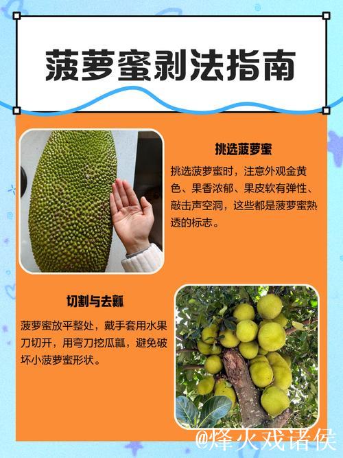 “详细讲解菠萝蜜怎么吃的实用视频教程”