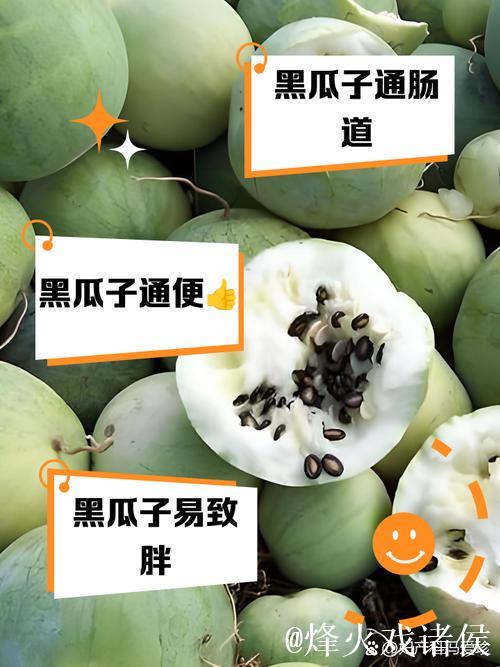 黑瓜吃料官网教你健康饮食秘诀 黑瓜吃料官网教你健康饮食秘诀